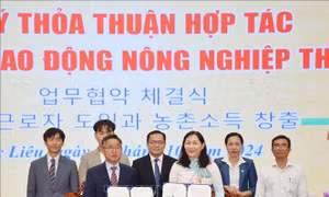 Tỉnh Bạc Liêu ký hợp tác đưa lao động sang Hàn Quốc làm việc