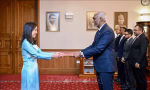Việt Nam và Maldives nỗ lực tăng cường kết nối trong mọi lĩnh vực