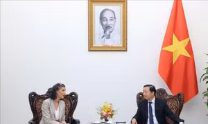 Thúc đẩy hợp tác Việt Nam và UNDP, WHO trong cải thiện chất lượng không khí