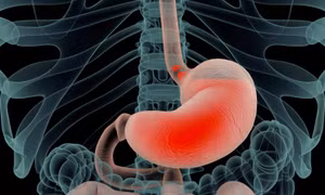 Chế độ ăn giàu cysteine giúp phục hồi ruột bị tổn thương