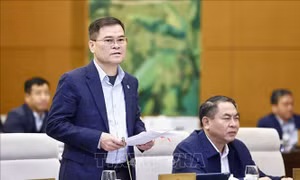 Dự kiến giảm tiền thuê đất năm 2024 khoảng 4.000 tỷ đồng