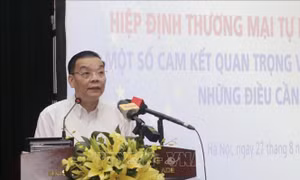 Chuẩn bị kỹ lưỡng để thực hiện các cam kết về sở hữu trí tuệ trong Hiệp định EVFTA.
