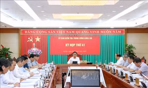 Đề nghị kỷ luật Ban Thường vụ Thành uỷ TP Hồ Chí Minh nhiệm kỳ 2010-2015
