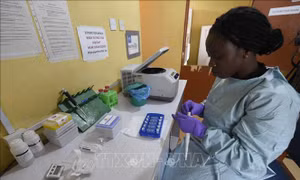 Nigeria: 171 người tử vong vì bệnh xuất huyết cấp tính do virus