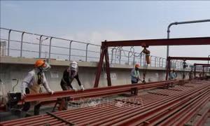 Tháo gỡ dự án metro Bến Thành - Suối Tiên - Bài 1: Tiến độ 'rùa'