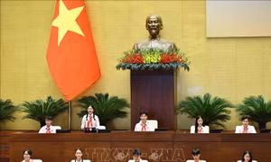 Phiên họp giả định 'Quốc hội trẻ em' lần thứ II