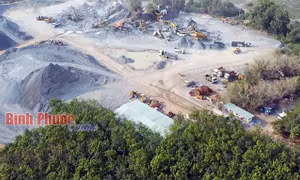 Phạt doanh nghiệp khai thác khoáng sản trái phép trên đất rừng phòng hộ hơn 154 triệu đồng