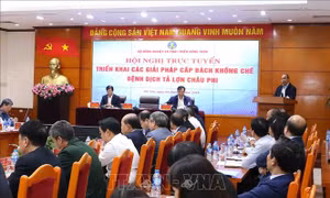 Cấp bách khống chế dịch tả lợn châu Phi