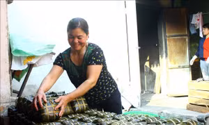 Làng nghề làm bún Vĩnh Hòa tất bật nấu bánh chưng vụ Tết