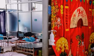 Những người không có Tết do sốt xuất huyết Dengue