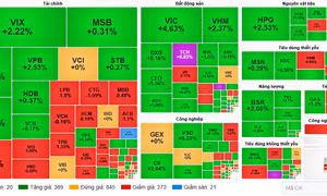 Thanh khoản vượt 20.800 tỷ đồng, VN-Index tiến sát 1.790 điểm