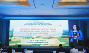 Đậu nành và các loại hạt góp phần giảm nguy cơ bệnh không lây nhiễm