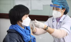 Tiêm mũi 3 bằng vaccine AstraZeneca cho người đã tiêm đủ liều cơ bản bằng vaccine mRNA