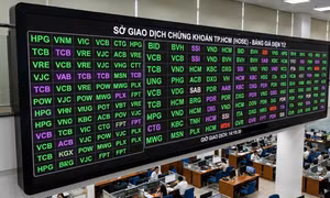 VN-Index tăng hơn 28 điểm, dòng tiền nội dẫn dắt nhưng rung lắc vẫn hiện hữu