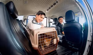 Grab mở rộng dịch vụ GrabCar Thú Cưng ra Hà Nội