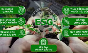Việt Nam trước cơ hội hút vốn ESG toàn cầu