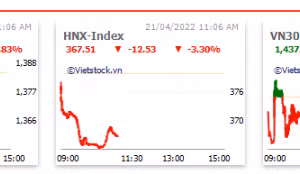 VN-Index tiếp tục giảm điểm sau thông tin bất lợi từ ‘họ nhà Louis'