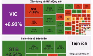 Ngay sau khi VFS lên sàn Nasdaq, cổ phiếu VIC cũng tăng kịch trần