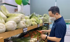 Trải lòng của người nước ngoài ăn Tết tại Việt Nam
