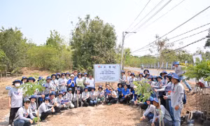 Hành trình TCP Việt Nam và dấu ấn vì cộng đồng 2024