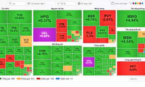 VN-Index tăng gần 33 điểm, chinh phục lại mốc 1.700 điểm