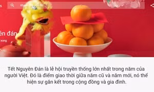 Mọi người quan tâm gì nhiều nhất trong dịp Tết Nguyên đán 2023?
