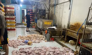 TP Hồ Chí Minh phát hiện 5 điểm giết mổ động vật trái phép tại khu vực chợ