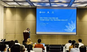 USAID hỗ trợ doanh nghiệp Việt thâm nhập thị trường Mỹ