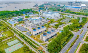Việt Nam trở thành điểm đến đầu tư hấp dẫn trong quá trình chuyển đổi xanh