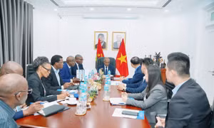 Hùng Nhơn thúc đẩy kết nối hợp tác nông nghiệp giữa Việt Nam và Angola