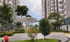 Cá nhân, tổ chức cho nhà và văn phòng phải nộp thuế ra sao?