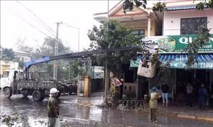 Tin nổi bật ngày 14/11