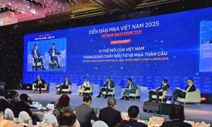 M&A Việt Nam đổi vai: Nhà đầu tư ngoại tìm giá trị, doanh nghiệp nội tìm sức bật