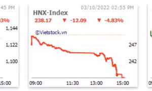 VN-Index chọc thủng mốc 1.100 điểm, chờ đợi dấu hiệu phục hồi ngắn hạn