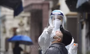 COVID-19 ngày 2/11: Hà Nội có 62 ca F0, trong đó liên quan đến chợ Ninh Hiệp có 3 ca