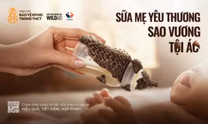 Chiến dịch ‘Bình sữa vảy tê’ kêu gọi chấm dứt dùng vảy tê tê trị tắc tia sữa