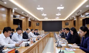 Thanh Hóa tìm kiếm nhà đầu tư cho nông nghiệp công nghệ cao