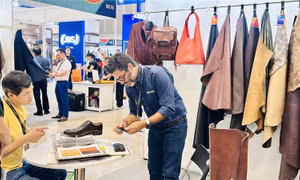 Niềm tin kinh doanh cải thiện khi số doanh nghiệp mới tăng mạnh nhất ba năm