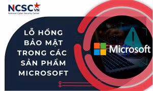 Cảnh báo các lỗ hổng bảo mật đang được khai thác trên Microsoft và Google