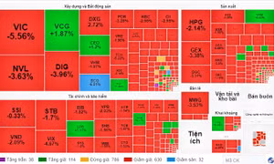 Lực bán áp đảo, VN-Index giảm sâu hơn 20 điểm