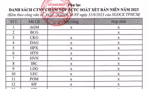 HOSE ‘nhắc nhở’ 18 công ty chậm nộp Báo cáo tài chính bán niên năm 2023