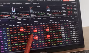 Thị trường chứng khoán đầu tuần đỏ sàn sau nhịp bull trap