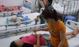 Cảnh báo nguy cơ bùng phát dịch sốt xuất huyết thời điểm cuối năm