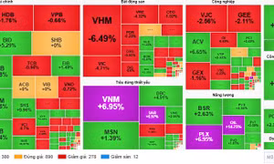 VN-Index duy trì trên 1.900 điểm, dòng tiền phân hóa mạnh