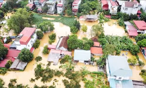 Không chuyển tiền ủng hộ vào những tài khoản giả mạo MTTQ Việt Nam 