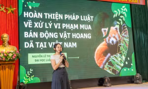 Cơ hội nghề nghiệp cho sinh viên ngành bảo tồn và phát triển bền vững