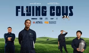 Nâng chất điện ảnh Việt - Bài cuối: Nâng tầm từ những sân chơi tìm kiếm đạo diễn trẻ