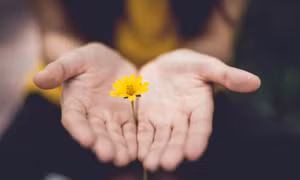 Hãy để con trẻ lớn lên trong yêu thương và an toàn