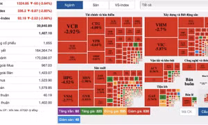 Áp lực bán mạnh, VN-Index đỏ sàn mất hơn 50 điểm