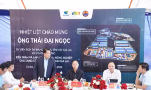 DHN Gia Lai vận hành sớm 10 tháng, mở rộng chuỗi chăn nuôi hiện đại